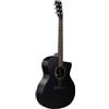 Martin Guitars Martin & Co GPC-X1E