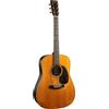 Martin Guitars Martin & Co D-28 Street Legend