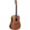 Martin Guitars Martin & Co D-X1E Koa
