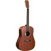 Martin Guitars Martin & Co D-X1E Mahogany