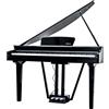 ECHORD GP10B Nero