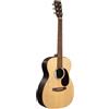 Martin Guitars Martin 00-X2E Cocobolo