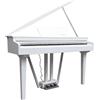 ECHORD GP10W Bianco