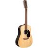 Martin Guitars Martin & Co D-X2E Brazilian 12-string