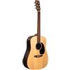 Martin Guitars Martin & Co D-X2E Brazilian