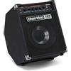 Hartke Kickback 12 KB12