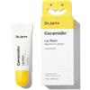 DR. JART DIV. ESTEE LAUDER Srl DR JART+ CERAMIDIN LIP BALM
