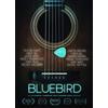 Wienerworld Bluebird - An Accidental Landmark That Changed History (DVD) Taylor Swift