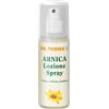 Dr Theiss Arnica Lozione Spray 100 ml per il corpo