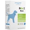 Digea I Medium Per Cani 20 Bustine Da 10 G 20x10 g Polvere per soluzione orale