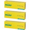 Namman Muay Active Cream 100 G 3x100 g Crema