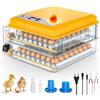WIWOLER Incubatrice per Uova Automatica per 16-120 Uova, Incubatore con Rotazione Automatica e Aggiunta d'Acqua, 12V/220V Dual con Display LED, Controllo Temperatura e Sperauova per Gallina, Quaglia