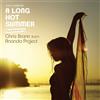 V/A Long Hot Summer (CD)