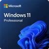Microsoft Windows Windows 11 Professional