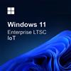 Microsoft Windows Windows 11 IoT Enterprise LTSC
