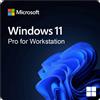 Microsoft Windows Windows 11 Pro for Workstation