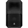 Electro-Voice EVIVA 12P