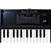 Roland K-25m