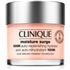 Clinique MOISTURE SURGE™ 100-HOUR AUTO-REPLENISHING HYDRATOR, 75 ml Promo