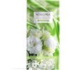 Horomia PROFUMA BUCATO MUSICA DEL SOLE, 20 ml