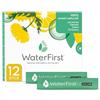 Zuccari WaterFirst Cetriolo, Cedro, Tarassaco, 12 Stick-Pack da 1,5g, Aromatizzatore per Acqua con Alkacitrati, Senza Zuccheri, Edulcoranti, Coloranti e Conservanti, Supporta il Metabolismo Acido-Base