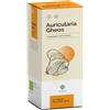GHEOS Srl Auricularia Gheos 90 Capsule - Integratore Naturale per la Tua Salute