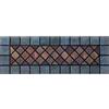Nicoman Narrow Step Mat Barriera Zerbino Tappetino Eco-Friendly Raschiante e Assorbente Indoor/Outdoor 75x25cm (30''x10''), (Bordo Blu), Set di 1