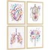 Nacnic Set Di 4 Stampe Anatomia Umana Poster E Quadri Con Cuore Cervello Polmoni Trachea Bronchi Colonna Vertebrale Design Floreale Acquerello Decorazione Medica Dimensione A3 Senza Cornice