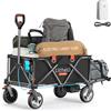 Litheli Carrello elettrico pieghevole, con freni, 200 l, 60 kg, adatto per campeggio, giardino, shopping, 1 batteria (nero)