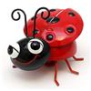 Dekohelden24 Coccinella in metallo con magnete/magnete per frigorifero, dimensioni (L x P x A): 7 x 7 x 8 cm, 8 cm