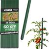 STREND PRO Tutori da Giardino 60 cm, Set da 25 | Ø 8 mm, Acciaio Rivestito in Plastica, Verde | Per Pomodori e Fagioli