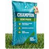 LERAVA CHAMPION semi prato (185m²) - festuca arundinacea di qualità - resistente a siccità e alte temperature - prato verde scuro fine - ideale per giardini e spazi verdi