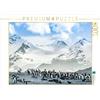 CALVENDO- Steinwald Max-Puzzle Fotografico, Motivo: Pinguino Colonia, 1000 Pezzi, Colore Bianco, Teile, 4059478962224