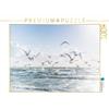 CALVENDO Puzzle Sogno di volare - Poesia del mare 1000 pezzi Lege-Dimensioni 64 x 48 cm Foto puzzle Immagine di Jana Mänz