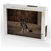 CALVENDO Oliver Pinkoss - Puzzle a forma di rosa Chihuahuas, 1000 pezzi, dimensioni 64 x 48 cm