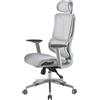 Il Gruppone Passione Casa IlGruppone Sedia Ufficio Ergonomica Professionale Schienale Alto In Rete Gaming Poltrona Direzionale Altezza Regolabile Portata 150 Kg Con Supporto Lombare e Braccioli Regolabili - Grigio