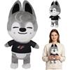 HBSFBH Stray Kids Peluche, Stray Kids Plush Doll, Peluche Animali Skzoo, Stray Kid Cartoon Peluche, Regalo di Compleanno per Bambini e Fan (L)