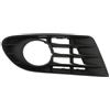 BLIC 6502-07-9533917P Griglia paraurti Sx Compatibilità con VW GOLF PLUS 5M1, 521