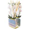VESTA Profumatore d'ambiente Orchidea Livinia - Fragranza Anima by Chiara Firenze - Bianco - 100 ml - Cristallo acrilico - Lavorazione artigianale - Idea regalo - Made in Italy
