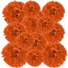 PATIKIL 20cm 24cm 30cm Pompon Carta Velina, 12Pz Palline Fiori di Carta Pom Poms Dimensioni Assortite per Decorazioni Sfondo per Matrimoni Addio Nubilato Feste Compleanno, Rosso Arancio