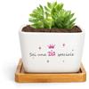 Generico Regalo Zia Vaso Per Pianta Regali Zia Regalo Per Zia Regali Festa Della Mamma Zia Compleanno Natale