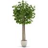 Maia Shop Eucalipto Finto 185 cm - Pianta Artificiale da Interno Realistica | Pianta Artificiale Alta con Tronco Naturale e Foglie in PE per Casa Soggiorno Ingresso Ufficio - Vaso Nero Incluso
