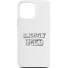 Funny Phrase Is Fun Custodia per iPhone 13 Pro Max Leggermente Usato