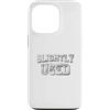 Funny Phrase Is Fun Custodia per iPhone 13 Pro Leggermente Usato