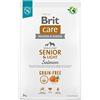 Brit Dry Food for Older Dogs All Breeds (Over 7 Years of Age) Care Dog Grain-Free Senior&Light Salmon 3 kg
