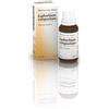 GUNA SpA Euphorbium Compositum S Heel Gocce 30ml