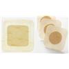 COLOPLAST SpA Biatain® Adesivo 15x15cm Coloplast 5 Pezzi 3421