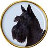 Scozzese (Scottie) Cane Terrier Distintivo di Lapel Pin