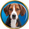 Hamilton Hound Dog Distintivo di Lapel Pin