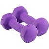 prOsPeQtG set di manubri, Peso con manubri esagonali smerigliati for allenamento di sollevamento fitness bodybuilding